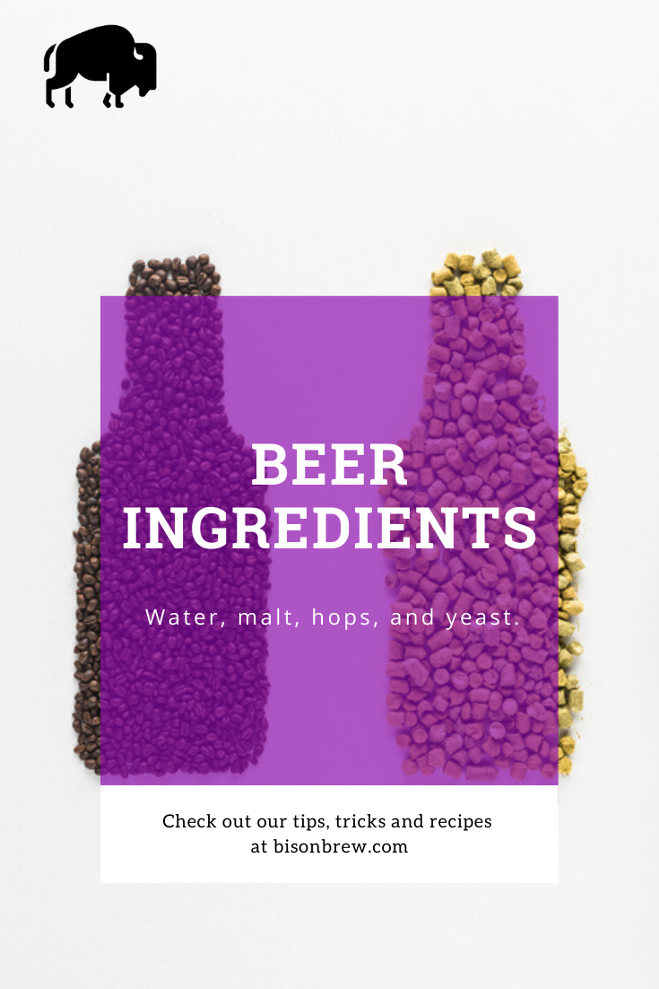 beer ingredients text overlayed on hops, malt, water and yeast shaped like a bottle of beer