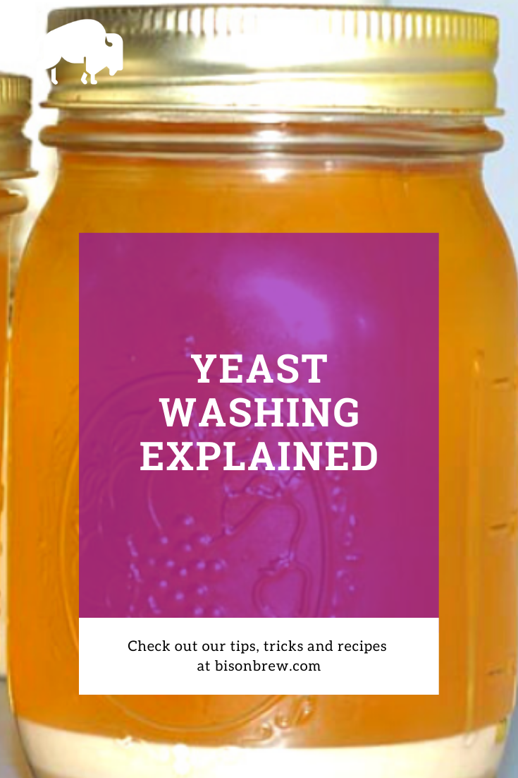 Yeast Washing Explained