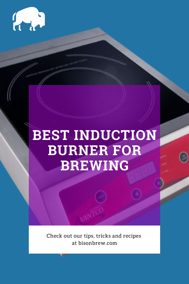 Best Induction Burners For Homebrewing